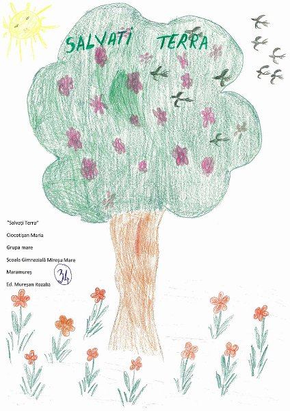 34_Maria Ciocotisan_Miresu Mare.jpg